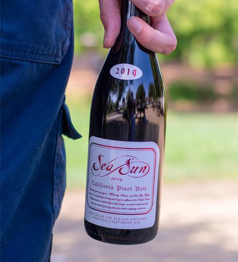 Wine Club Sample Wine