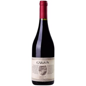 2021 Bodega Garzon Reserva Marselan