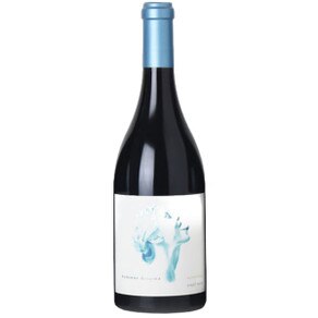 1051889 2021 Summer Dreams 'Super Chill' Pinot Noir Sonoma Coast